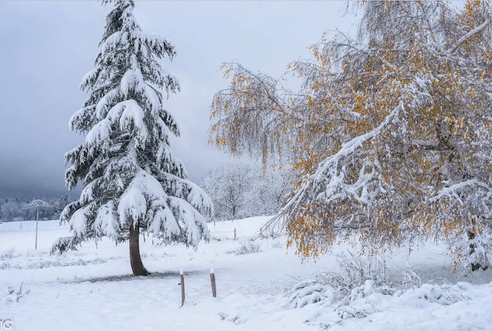 Bilan météo et climatique de novembre 2025 : plus doux que la normale, malgré les apparences…