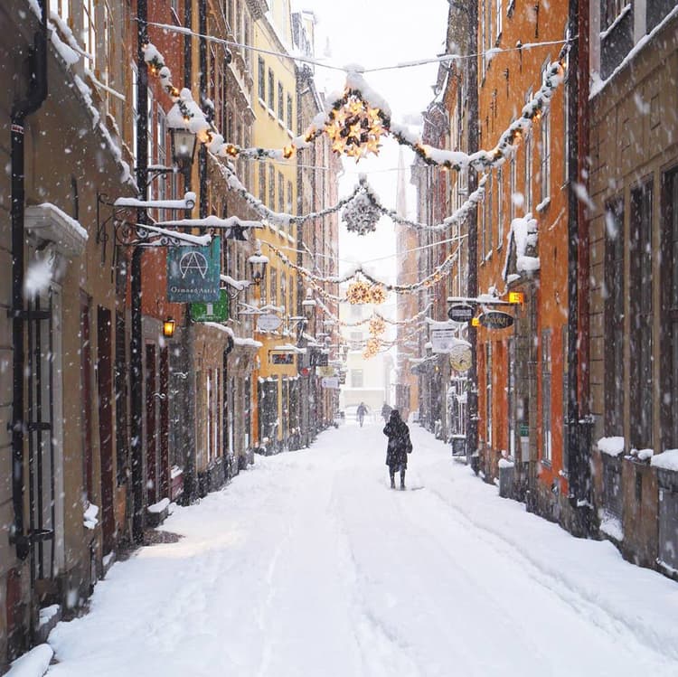 Image d'illustration pour Blizzard et températures glaciales : l'hiver s'invite sur l'Europe
