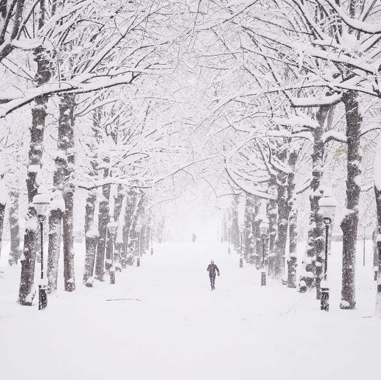 Image d'illustration pour Blizzard et températures glaciales : l'hiver s'invite sur l'Europe
