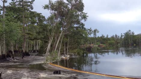 Image d'illustration pour Sinkhole en Louisiane 