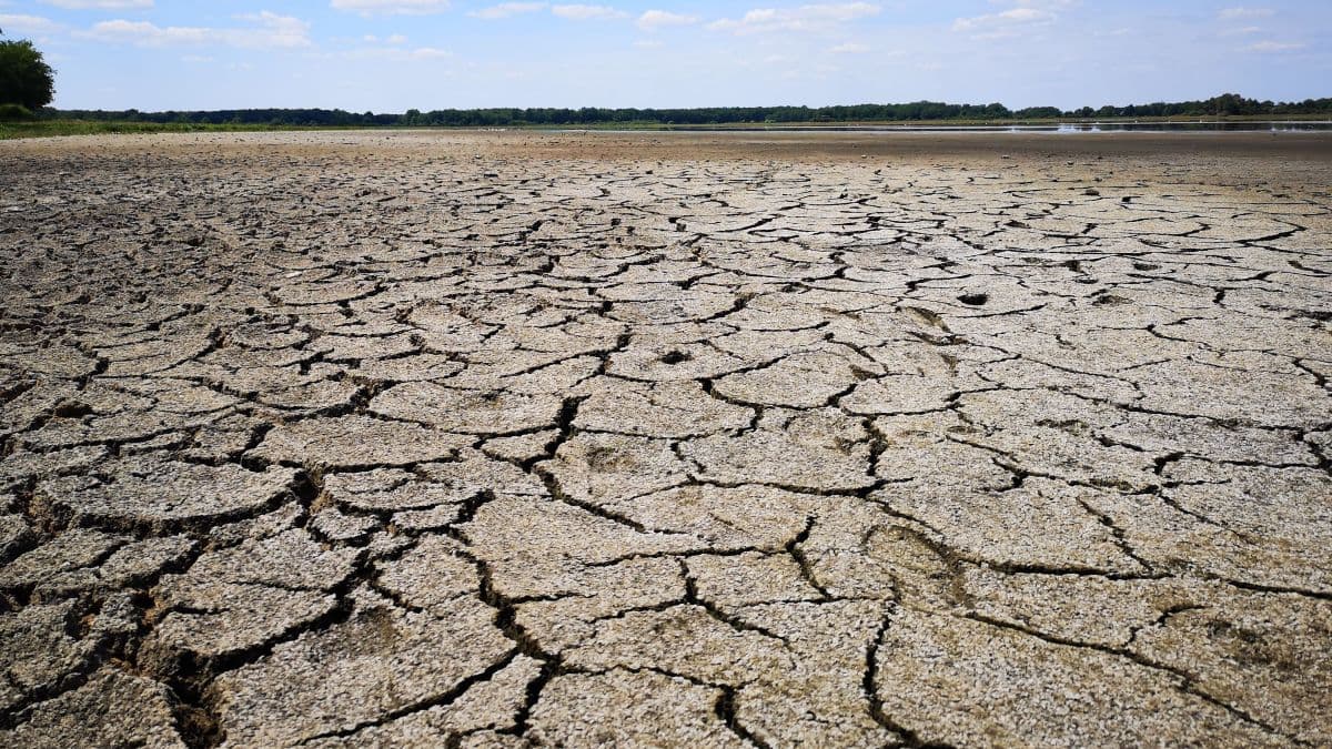 Image d'illustration pour Retro météo 2019 : les évènements climatiques ayant fait la une en France