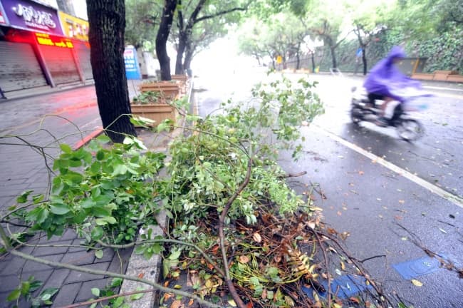 Image d'illustration pour Ex typhon Trami / Maring (Taiwan - Chine)