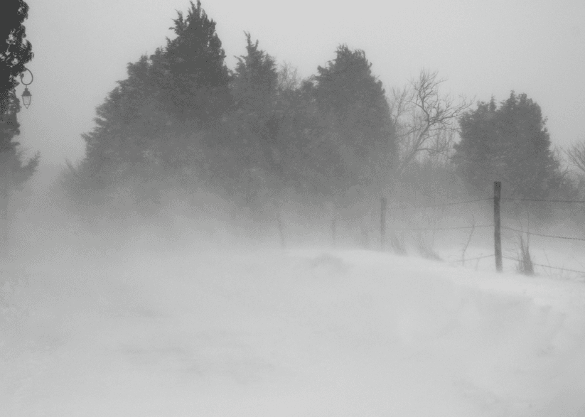 Image d'illustration pour BILAN DU PRINTEMPS 2013 : complètement pourri !