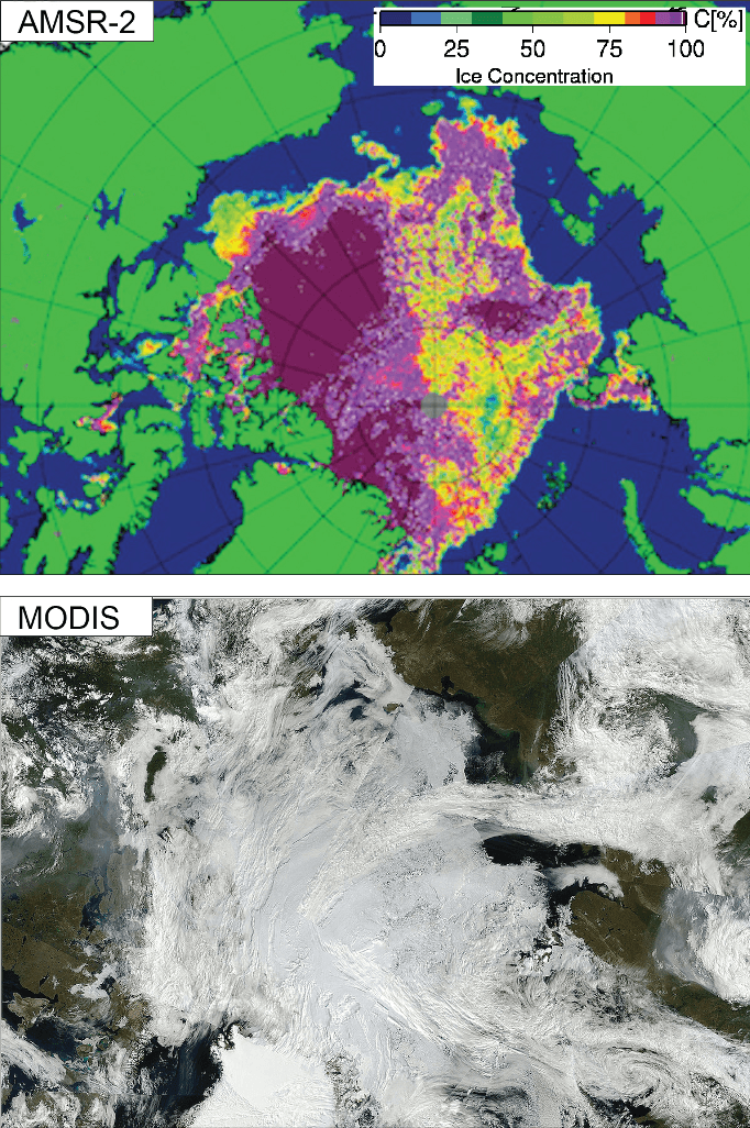 Image d'illustration pour Suivi de la banquise en Arctique