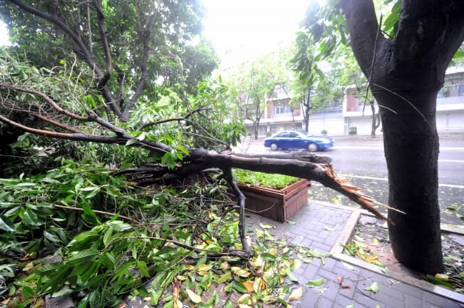 Image d'illustration pour Ex typhon Trami / Maring (Taiwan - Chine)